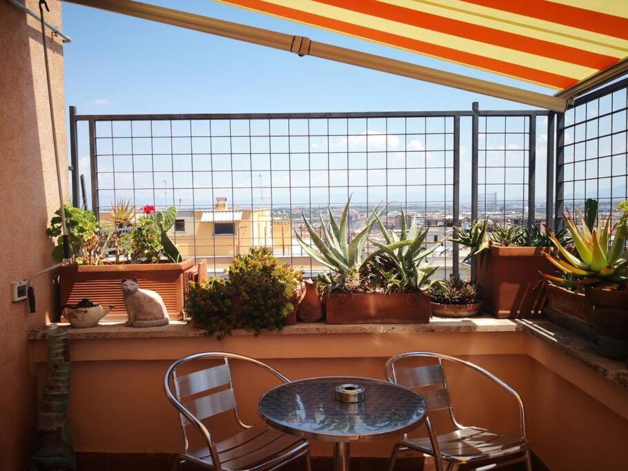 Rosa'S Terrace Roma Panoramic Penthouse Apartment Bagian luar foto
